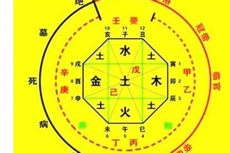 用神 水|八字入门基础 第六篇 如何判断八字喜用神